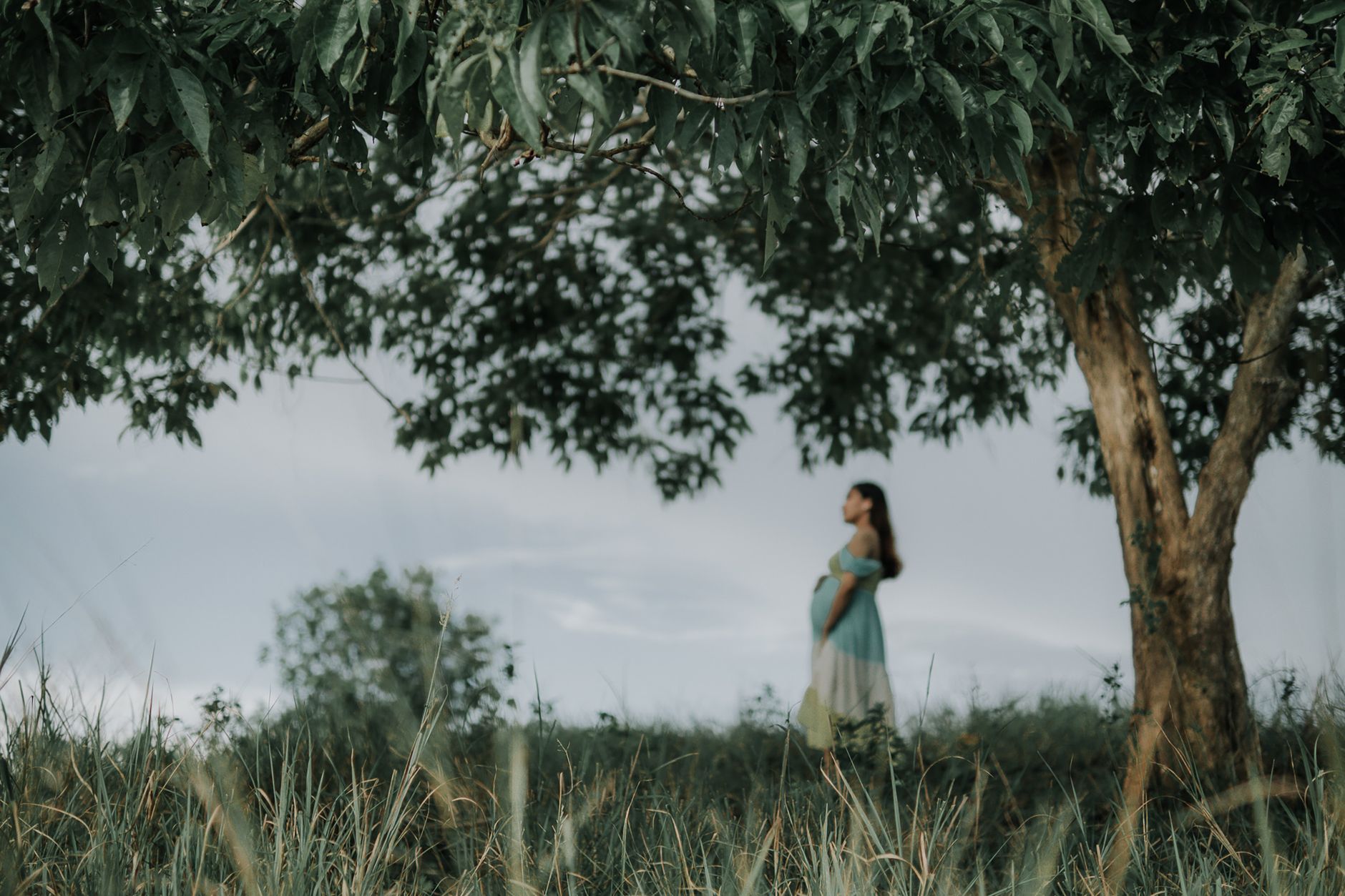 pregnant woman standing on green grass